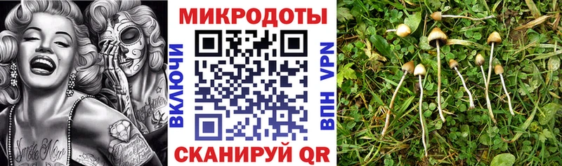 Галлюциногенные грибы мухоморы  Николаевск 